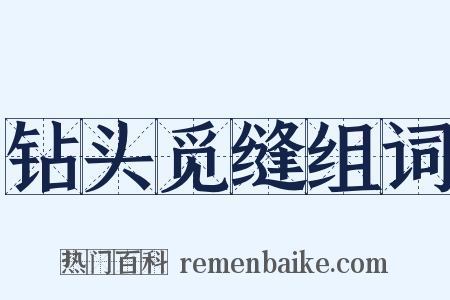 钻头觅缝组词是什么意思的图片